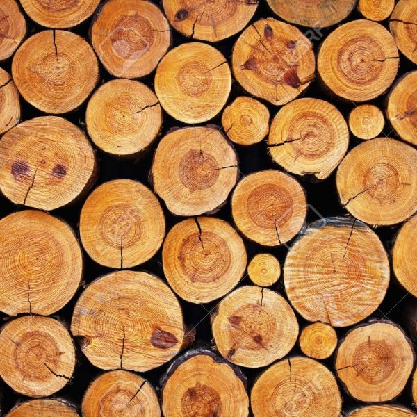 Firewood logs for sale