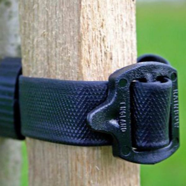 Buckle Tree tie