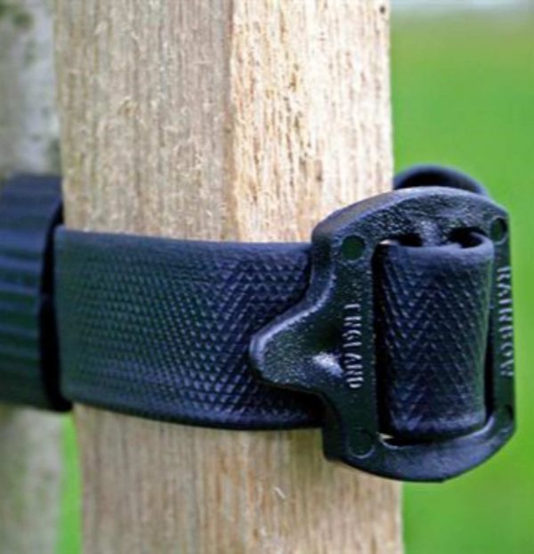 Buckle Tree tie