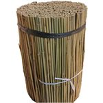 bamboo canes