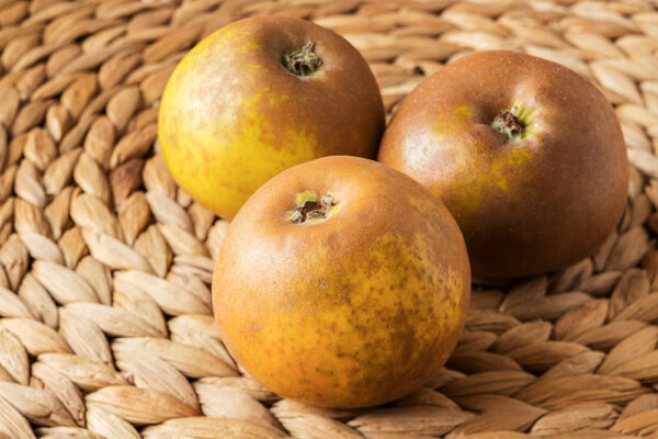 Egremont Russet